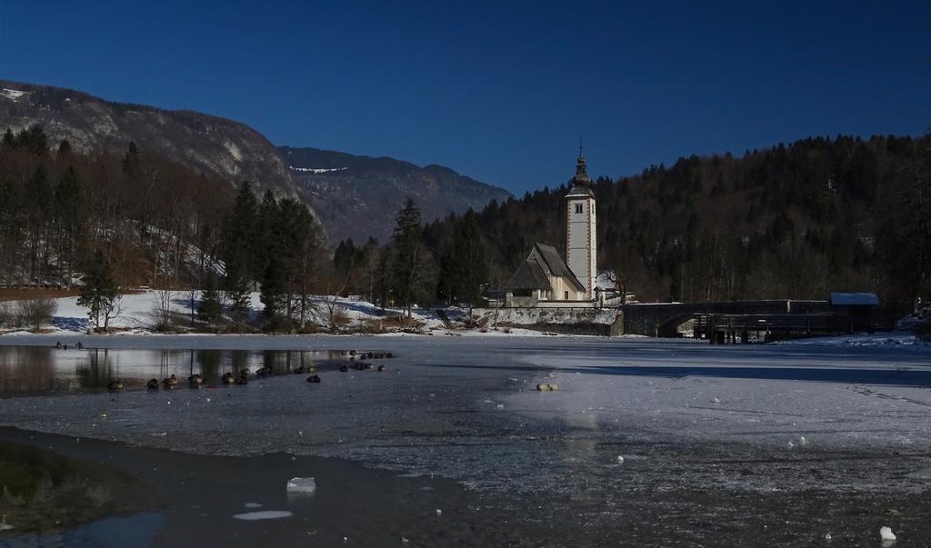 Apartmaji Pri Marodnu Daire Bohinj Dış mekan fotoğraf