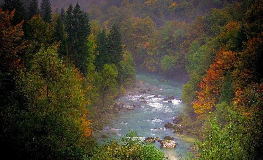 Apartmaji Pri Marodnu Bohinj Dış mekan fotoğraf