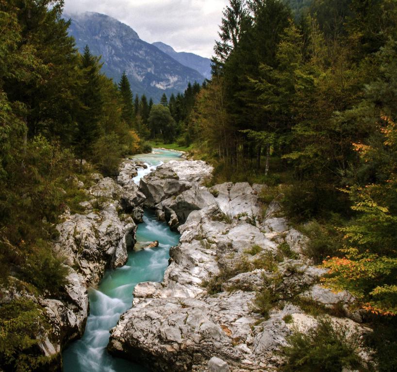Apartmaji Pri Marodnu Bohinj Dış mekan fotoğraf