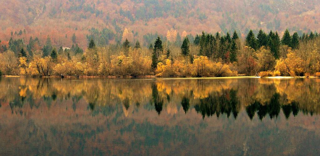 Apartmaji Pri Marodnu Bohinj Dış mekan fotoğraf